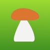 My Mushroom Locations icon