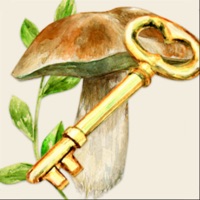 Aux champignons ne fonctionne pas? problème ou bug?
