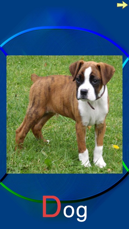 Alpha Wildlife screenshot-3