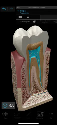 Captura 9 Atlas de anatomía humana 2021 iphone