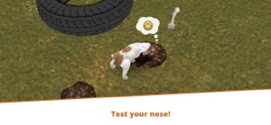 Dog Hotel - Play with dogs screenshot #6 for iPhone