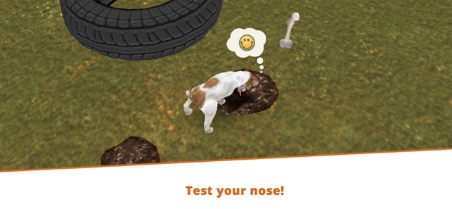 iPad Games for Dogs: We Tested Four of Them – Dogster