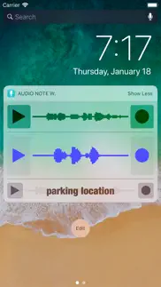 audio note widget iphone screenshot 2