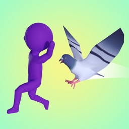 Pigeon Chase