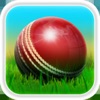 Cricket 3D : Street Challenge