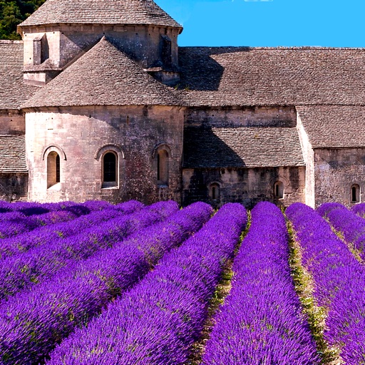 Provence's Best: Travel Guide