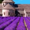 PROVENCE'S BEST is the ideal travel guide to France’s sun-drenched traveler’s paradise
