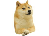 Doge Lore Stickers