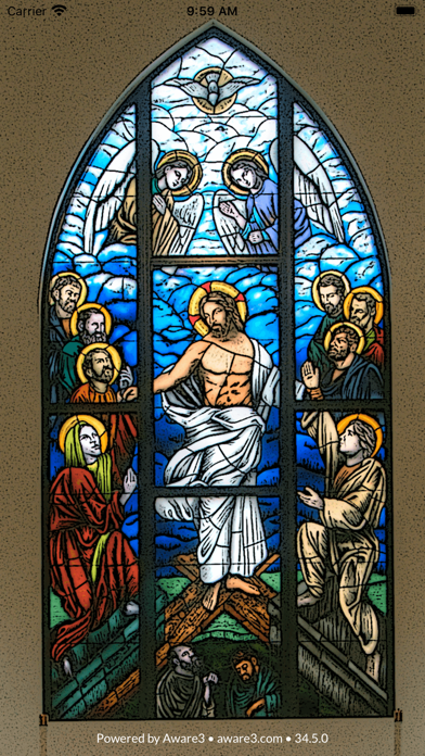 Christ the King New Paltz Screenshot