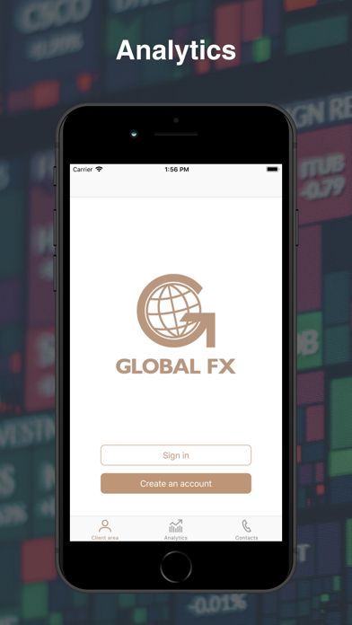 Global-FX screenshot 2