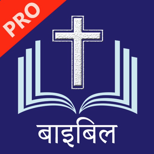 Hindi Bible Pro - हिंदी बाइबिल