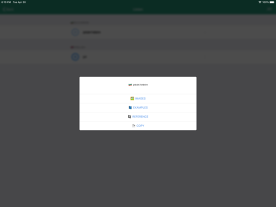 Bulgarian Dictionary - offline iPad screenshot 4 - Reference app