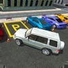 Build Up Your Parking Skills icon