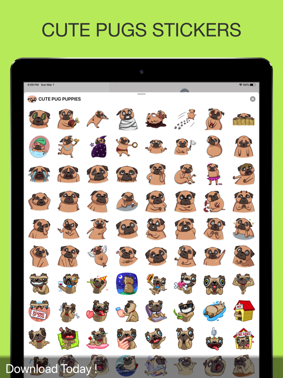 Screenshot #4 pour CUTE PUG PUPPIES