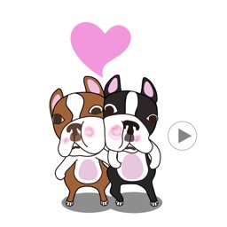 Animated Boston Terrier 1