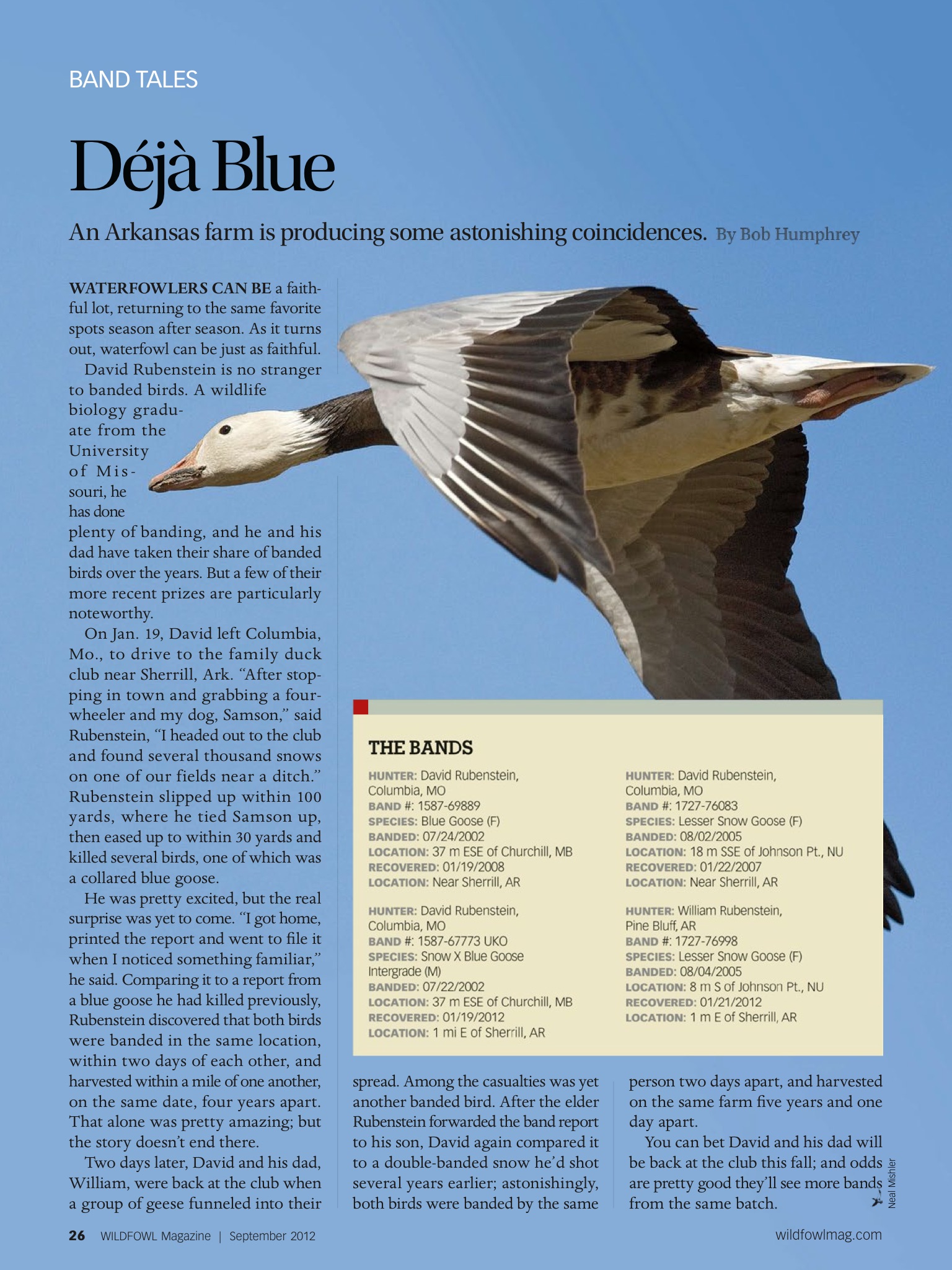 Wildfowl Magazine screenshot 3