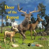 Icon Deer of the Forest