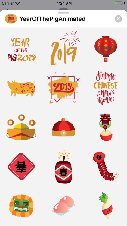 Year of the Pig 2019! 新年快乐