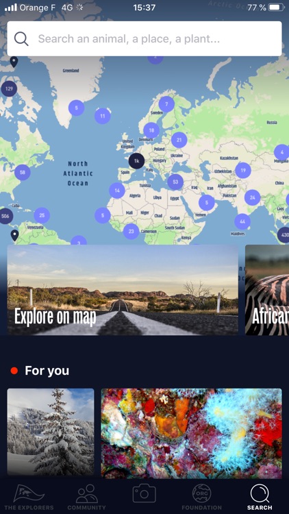 The Explorers screenshot-4