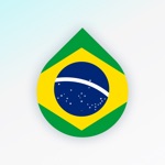 Download Learn Brazilian Portuguese now app