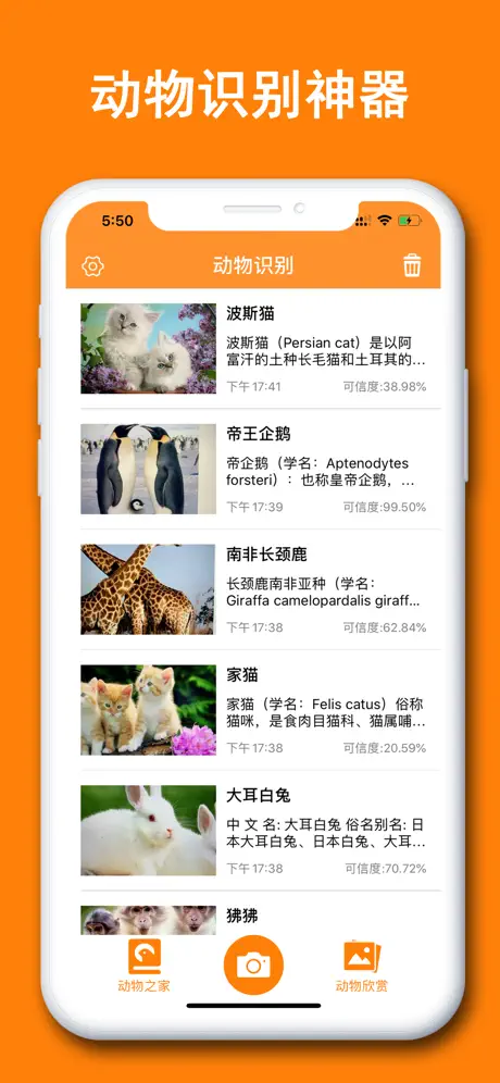 动物识别器-智能识别动物百科大全