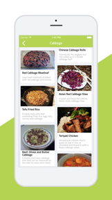 Easy Veggie-healthy recipes screenshot
