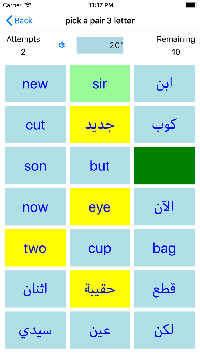 PickAPair Arabic - English