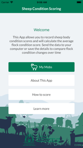 Condition Scoring of Sheep screenshot
