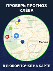 Прогноз клева - ТипТоп Рыбалка айпад изображения 4