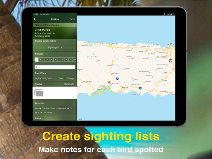 All Birds PR -andgt Antigua