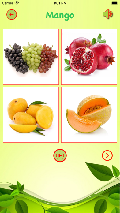 Learn Natural Food Screenshot