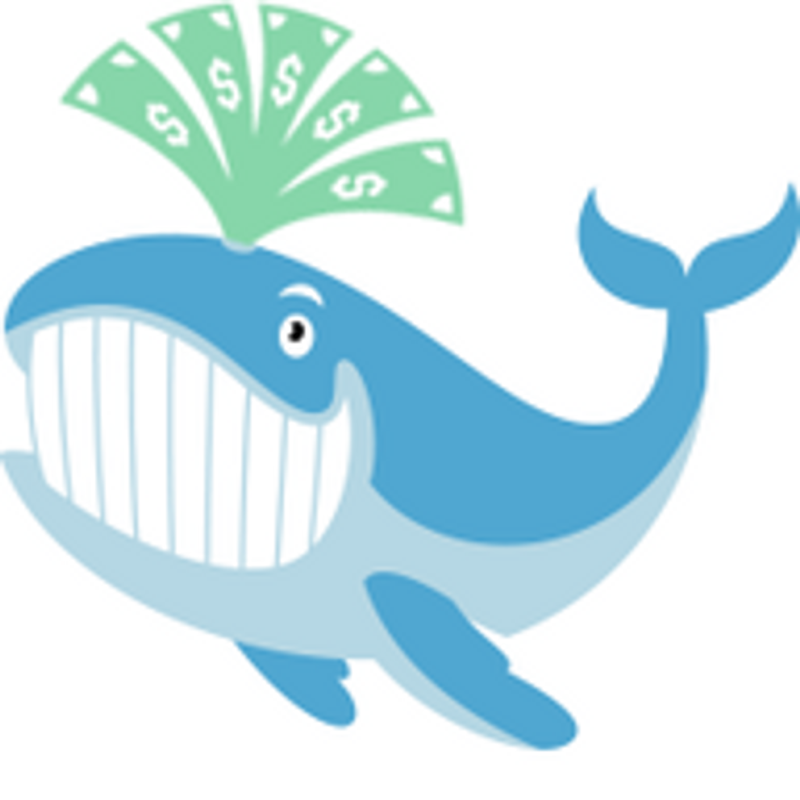 Unusual Whales