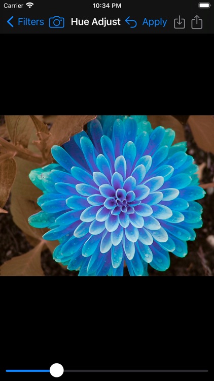 Image Filters Photo Editor + screenshot-9
