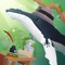 Tap Tap Fish - AbyssRium is a game that helps relax your nerve