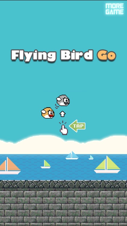 Flying Bird Go