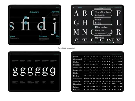 Typography Insight
