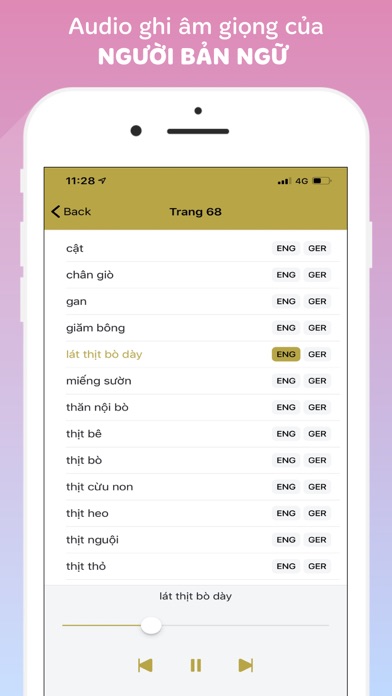 Vietnamese-German-English screenshot 3