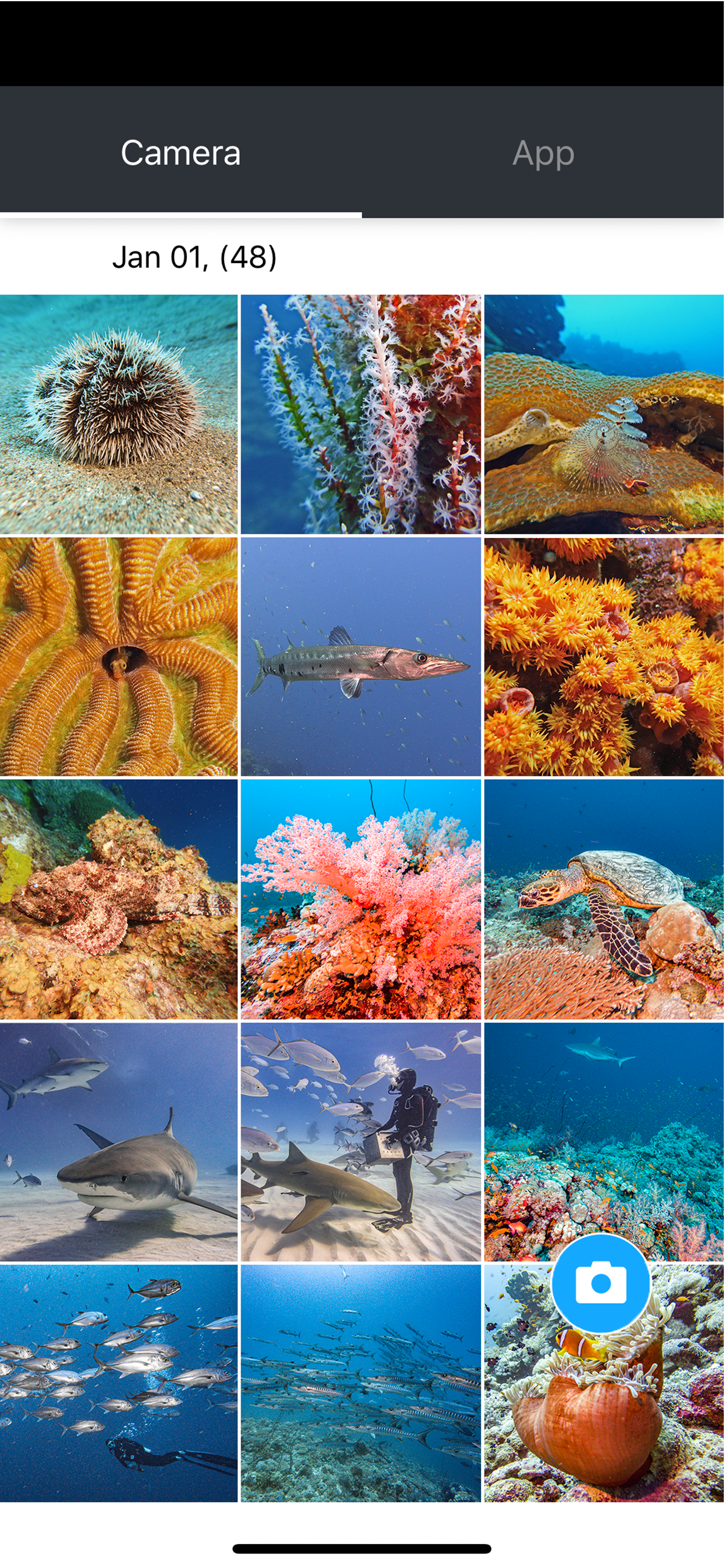 SeaLife Micro 3+