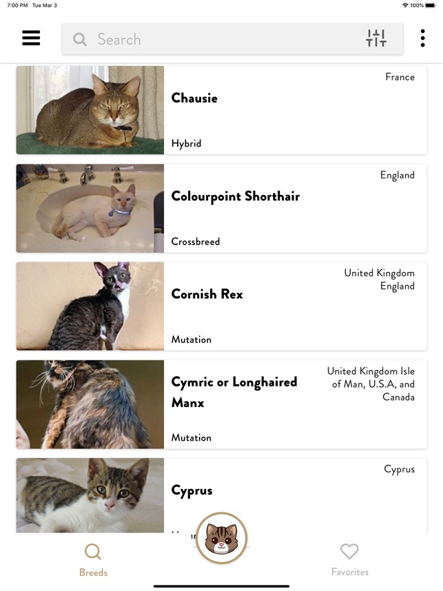 What Type of Cat is This: Identify Your Feline Fast!