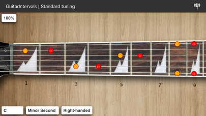 Guitar Intervals Pro Screenshot