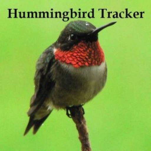 Hummingbird Tracker by James White