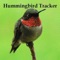 Download the Hummingbird Guide's Hummingbird Tracker app, to keep track of the hummingbird Spring migration