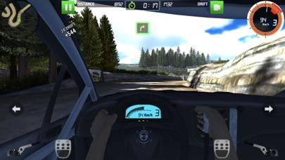 Rally Racer Dirt Screenshot