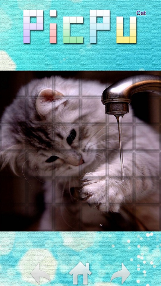 #5. PicPu - Cat Picture Puzzle (iOS) Podle: Oscar Tsang