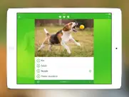 iknow dogs: identificar razas ipad capturas de pantalla 4