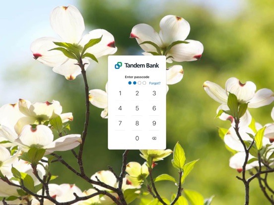 Tandem Bank iPad screenshot 2 - Finance app