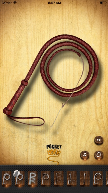 Pocket Whip