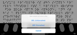 Game screenshot Visual Brailler apk