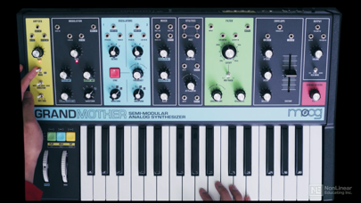 Moog Grandmother Course By AV screenshot 3