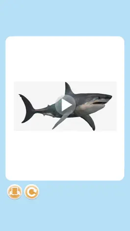 Game screenshot Imagerie pourquoi interactive apk